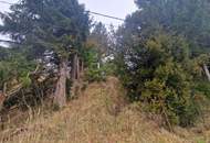 SONNIGE LEBENSQUALITÄT: ZWEI BAUGRUNDSTÜCKE IN WEIDLINGBACH MIT HOHER LEBENSQUALITÄT OHNE BAUZWANG