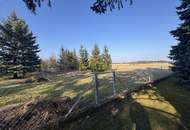 Ihre Gelgenheit! Geräumiger Bungalow in Ruhelage nahe Wr.Neustadt