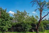 Traumgrund am Schafberg