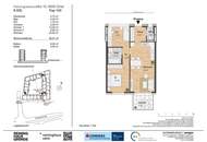 Aufblühen in Reininghaus