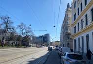 Investment - Chance - Anlage ALTBAU 4 Zimmer Wohnung + separater Küche - Nähe AKH ALSERGRUND