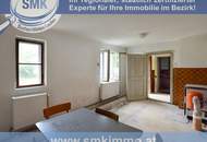 Leistbares Landhaus mit Nebengebäuden und uneinsehbarem Innenhof!