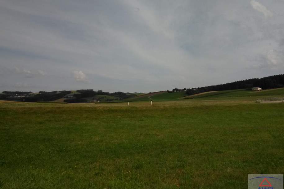 Baugründe und Grünland in der Gemeinde Hürm zu verkaufen!, Grund und Boden-kauf, 3383 Melk