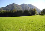 Hübsche, landwirtschaftliche Wiese mit kleinem Wald - KEIN Baugrund !!!