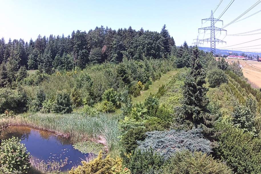 Landwirtschaftlicher Grund mit Lagerhütte, Anschluss für Wasser und Strom, Grund und Boden-kauf, 211.950,€, 4963 Braunau am Inn