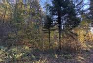 Einmalige Gelegenheit: Waldgrundstück mit ca. 3 ha in Graz-St. Peter/Messendorf zu verkaufen!