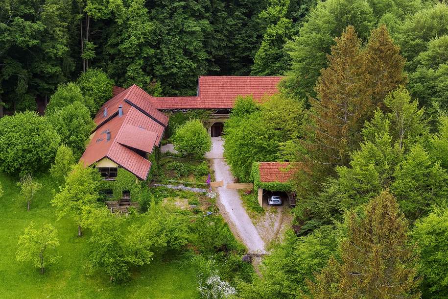 Traumanwesen in Alleinlage – 24.532 m² für Naturliebhaber und Pferdehalter, Haus-kauf, 960.000,€, 4163 Rohrbach