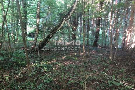 Ihr Traumgrundstück im Grünen! Gestalten Sie Ihr neues Zuhause zum absoluten Spitzenpreis!, Grund und Boden-kauf, 530.000,€, 3021 Sankt Pölten(Land)