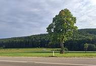 "Grünblick - Balkonwohnung am Riederberg mit Parkplatz"