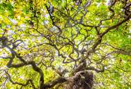 Viel Raum für Ideen – Ihr Zuhause wartet!