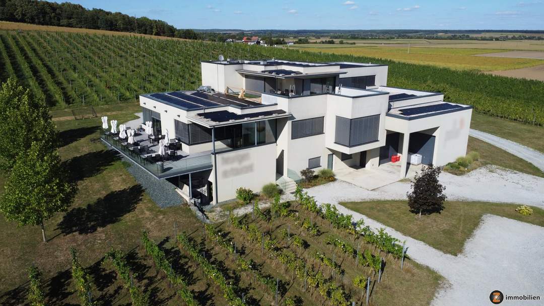 Weingut mit ca. 4 ha Weingärten im Südburgenland!
