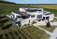 Weingut mit ca. 4 ha Weingärten im Südburgenland!