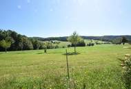 Landwirtschaft in Kirnberg– ca. 16 ha Grund