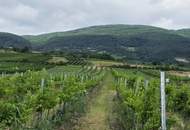 Ruhelage an den Weingärten