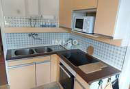 HOLZBLOCKHAUS MIT SCHÖNEM GRUND UND FERNBLICK