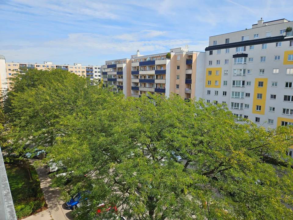 Neu renovierte 2-Zimmer-Wohnung mit Loggia in U1-Nähe