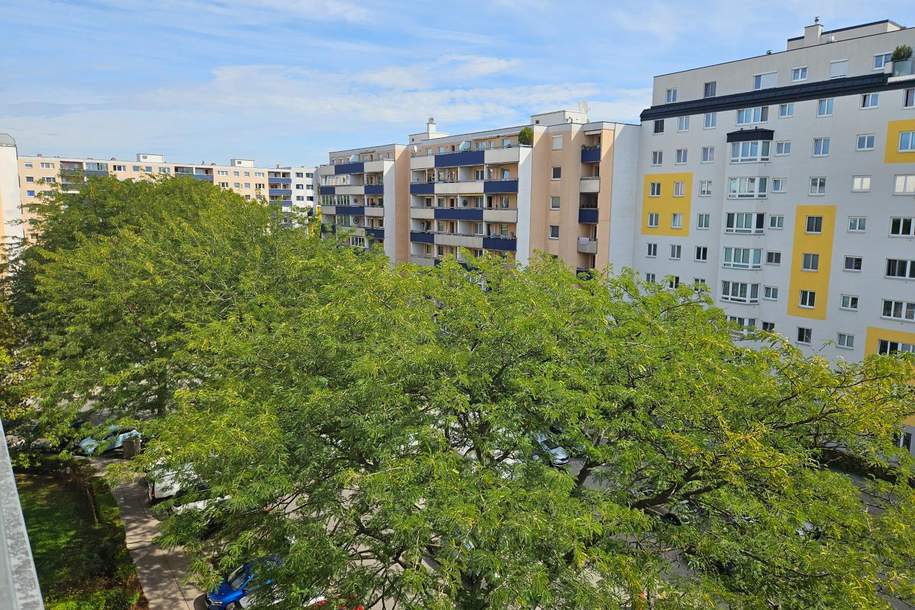 Neu renovierte 2-Zimmer-Wohnung mit Loggia in U1-Nähe, Wohnung-miete, 1.230,00,€, 1220 Wien 22., Donaustadt