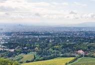 EXTRAVAGANT /// Villenmaisonette mit sensationallem Blick über Wien