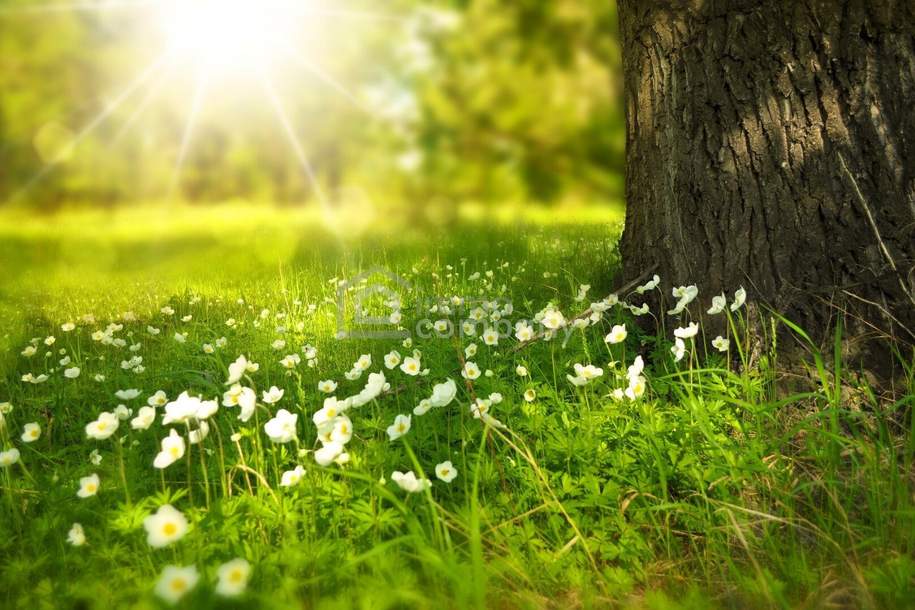 Kleines sanierungsbedürftiges Haus mit viel Potential zu verkaufen, Haus-kauf, 107.000,€, 2272 Gänserndorf