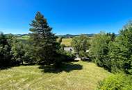 Wohnen im Einklang mit der Natur: Einfamilienhaus mit Panoramablick und großem Garten