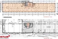 Flexible Büroflächen ab 500 m² in zentraler Lage I Moderne Ausstattung inklusive