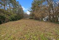 Wo die Seele ihr Zuhause findet: Ein Kunstwerk zwischen Wald und Wien