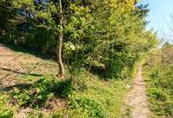 Baugrund mit Perspektive in sonniger Südhanglage – exklusives Grundstücksensemble