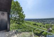 RARITÄT der EXTRAKLASSE! Perfekt revitalisiertes Weingartenhaus mit atemberaubendem Fernblick inmitten der Döblinger Weinberge!