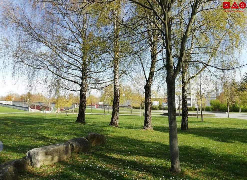 Ab 01.05. bezugsbereit - Sanierung in Arbeit! Attraktive 1-Zimmer-Wohnung in Parknähe, optimal für Studenten oder Singles!