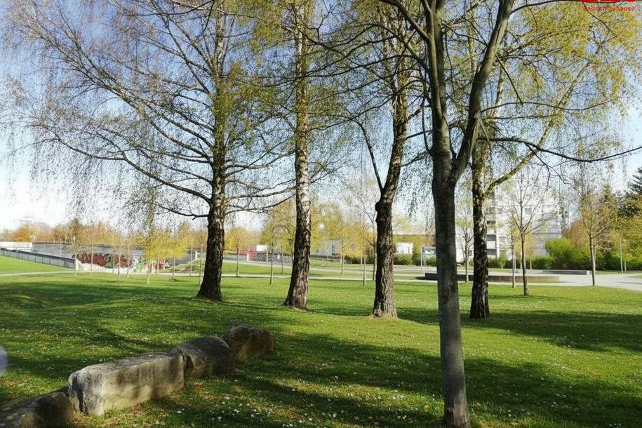 Ab 01.05. bezugsbereit - Sanierung in Arbeit! Attraktive 1-Zimmer-Wohnung in Parknähe, optimal für Studenten oder Singles!, Wohnung-miete, 409,29,€, 4020 Linz(Stadt)