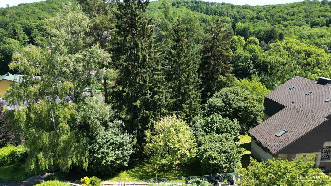 BAUGRUNDSTÜCK IN MAUERBACH – 1.071 m² IN RUHIGER HANG- UND GRÜNLAGE MIT ENTWICKLUNGSPOTENZIAL | ZELLMANN IMMOBILIEN