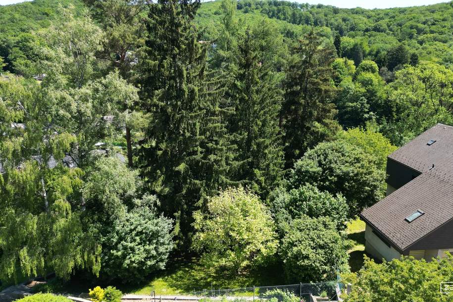 BAUGRUNDSTÜCK IN MAUERBACH – 1.071 m² IN RUHIGER HANG- UND GRÜNLAGE MIT ENTWICKLUNGSPOTENZIAL | ZELLMANN IMMOBILIEN, Grund und Boden-kauf, 349.000,€, 3001 Sankt Pölten(Land)
