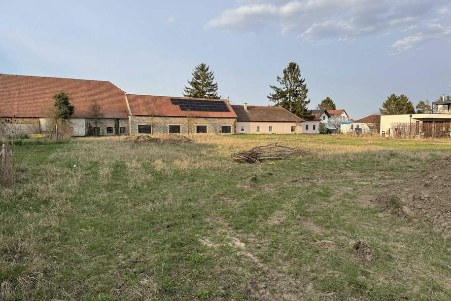 "Leistbarer Baugrund", Grund und Boden-kauf, 50.000,€, 3483 Tulln