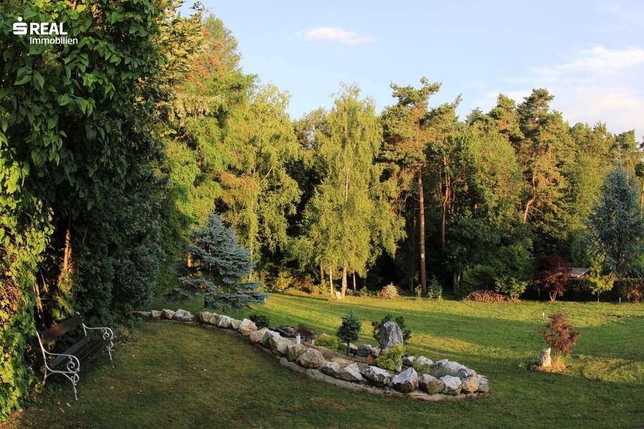 Traumhaft schöne Waldrandlage auf 520m Anhöhe - 2.922m² Grund, zwei Bauparzellen mit saniertem Wochenend-Häuschen und Waldanteil!, Haus-kauf, 345.000,€, 2632 Neunkirchen