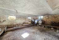 Geräumiges Bauernhaus samt großem Nebengebäude im Bauland