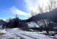 MÜRZSTEG - GEPFLEGTE, SONNIGE MIETWOHNUNG