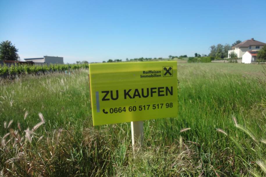 Großzügiges Grundstück in Breitenbrunn, Grund und Boden-kauf, 200.000,€, 7091 Eisenstadt-Umgebung