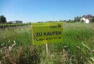 Großzügiges Grundstück in Breitenbrunn