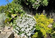 WACHAU - YOUR silent PLACE