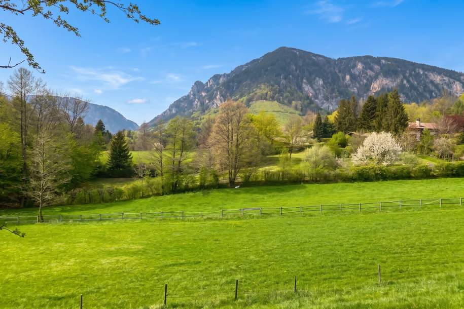 Traumkulisse! Freier Blick auf die Rax!, Grund und Boden-kauf, 399.000,€, 2651 Neunkirchen