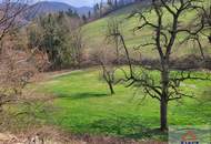 Bauernhof mit arrondiertem Grund in Alleinlage im Voralpengebiet!