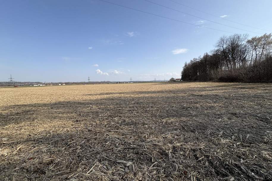 Ebenerdiges Ackerland nahe Ortszentrum Burgkirchen, Grund und Boden-kauf, 522.075,€, 5274 Braunau am Inn