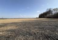 Ebener Acker nahe Ortszentrum Burgkirchen