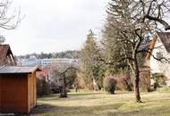 ES GIBT FÜR ALLES EINEN GRUND - wir haben gleich 3 davon…