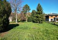 Traumhafter Baugrund am Fuße des Bisambergs