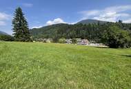 Traumhaftes Grundstück für Wohnprojekt im Zentrum von Afritz am See – 4.169 m²