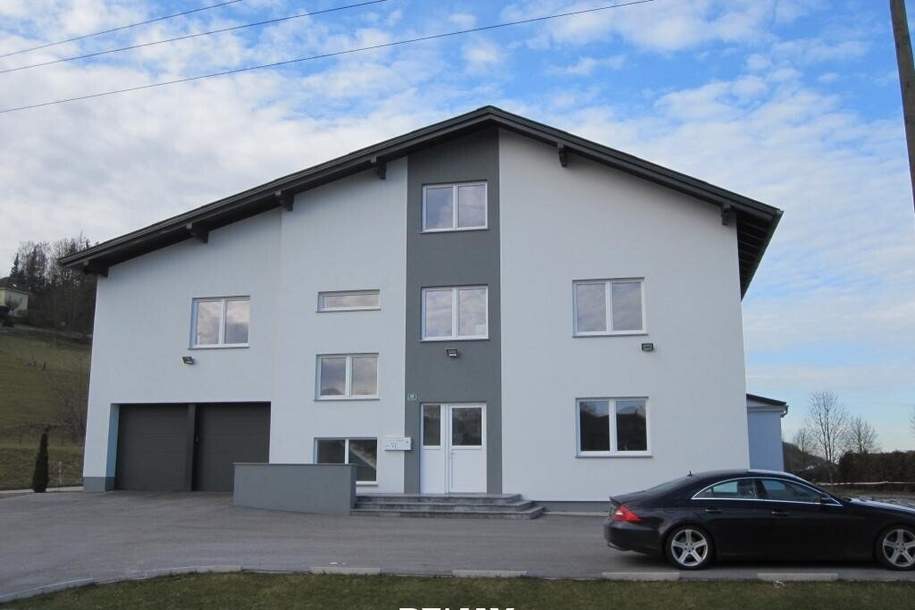 Büro Lager/Ausstellungsflächen, Gewerbeobjekt-miete, 4616 Wels-Land