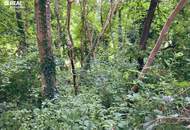 Wohnen im schwedischen Stil im traumhaften Südburgenland!