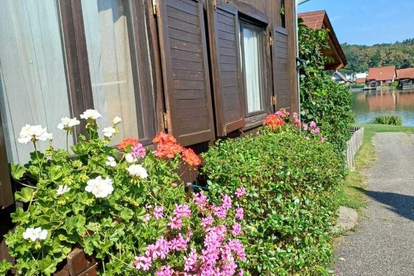 Ferienimmobilie mit Seezugang am Waldschachersee, Haus-kauf, 24.000,€, 8521 Deutschlandsberg