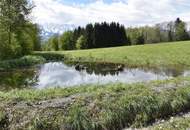 "Oh Du Mei Rosental........"